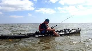 Kayak Fishing Catching Dogfish and Smoothhound at Hopton