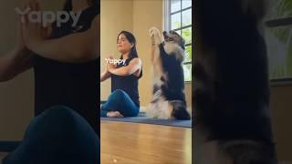 Morning routine with  | Flex with Nastya 
