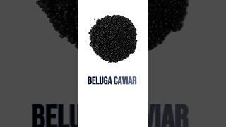 Beluga Caviar: Basic Facts You Should Know