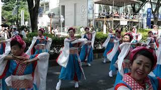 [4K]天空しなと屋茜丸~翆雨~原宿表参道元氣祭スーパーよさこい2019 表参道アヴェニュー