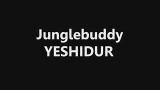 Junglebuddy - YESHIDUR (feat. Guy Tal)