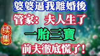 [续集]婆婆逼我離婚後，管家：夫人生了，一胎三寶，前夫徹底慌了！