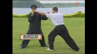 自然門技擊法 梁超群 #martialarts #kungfu