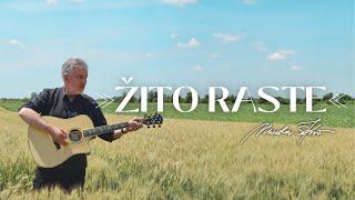 Miroslav Škoro - Žito raste (Official video)