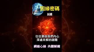 因緣密碼 糾纏：網絡心絲 內觀解織 #開悟 #覺醒 #靈性成長