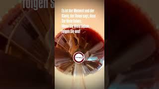 Es ist der Moment und der Klang, der Ihnen sagt, dass Sie Wein lieben #spanishwine #winelovers #wein