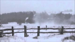 Winter's Wrath atop Roan Mountain