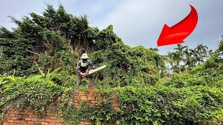 Terrifying Transformation Giant Tree Saw House Mowing the large, overgrown garden