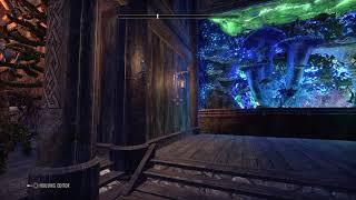 ESO - Housing - Antiquarian's Alpine Gallery - Primary House - PS4EU