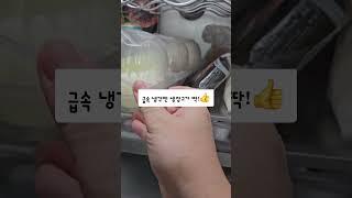 맥북프로가 왜 냉장고에 #브이로그 #맥북프로발열