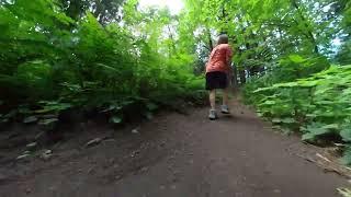 Zanderman exploring in the woods