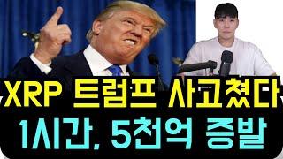 리플 XRP 트럼프 긴급결단 아비규환 1시간만에 5천억 증발한 이유