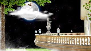 Balcony Background Video Effects hd | Nature Background Video | Template Video Background