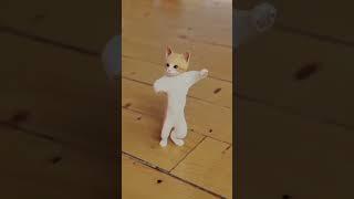  Juju jusong#cats#dancing#video#funnycomedy catdance#viral#trending#ytshorts#thetharpuns #