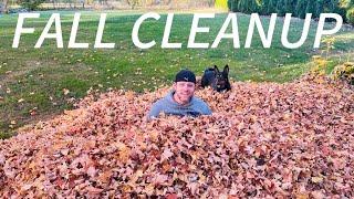 Tons of Leaves? Fall Cleanup Easier This Year? #fallcleanup