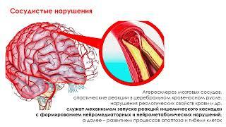 Когнум - энергия мозга