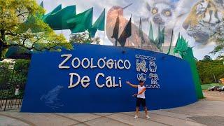 ZOOLÓGICO DE CALI  - COLOMBIA