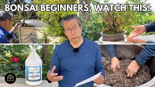 All About Watering, Soil, & Fertilizing for Bonsai Beginners