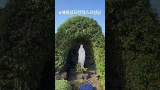 #천주교 #수도원 #가톨릭 #제주교구 #성당순례15 #세화성프란치스코성당 #catholic #catholicfaith #catholicchurch #pilgrimage