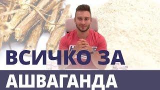 Ашваганда и въздействието й върху здравето  | GymBeam | Fitness Academy