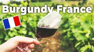 These are the MOST EXPENSIVE wines in the world? Burgundy, France