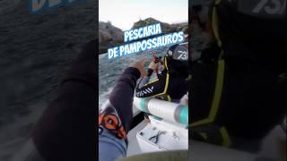 PAMPOS SAUROS DA ILHA DOS LOBOS