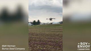 Planting Soybeans With a Drone