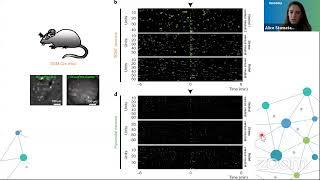 4/17/20 Inscopix Journal Club