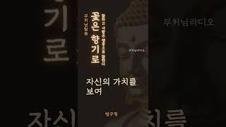 꽃은 향기로 말하고 사람은 행동으로 말한다 | 부처님말씀 | 석가모니명언 | 인생지혜 | 명상의말씀