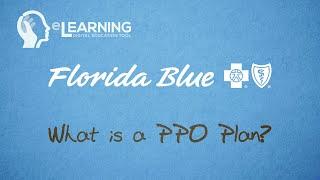 What is a PPO Plan?