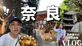 【奈良一日遊Vlog】超壯觀奈良必訪景點！不只能餵鹿而已！療癒身心的知性之旅！世上最大青銅佛像！全日本最厚豬排丼！奈良公園/興福寺/東大寺/春日大社/若草山｜日本旅遊Traveling