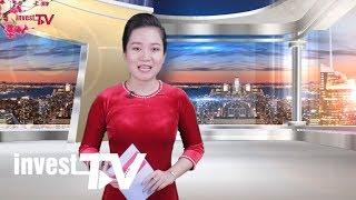Nhịp cầu địa ốc: Dự đoán thị trường bất động sản