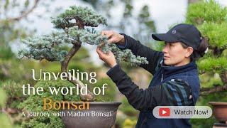 Unveiling the World of Bonsai: Journey with Madam Bonsai