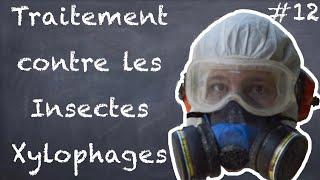 Traitement contre les Insectes Xylophages - NLAB #12