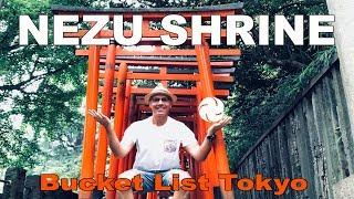 LIVE Tokyo Adventure | NEZU Shrine - a gorgeous Tokyo sightseeing destination