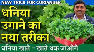 धनिया उगाने का नया तरीका - इस तरह से उगाएं || धनिया खाते-खाते थक जाओगे || Feb-March Coriander