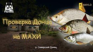 900 серы на махи р. Северский Донец | Русская Рыбалка 4 | РР4 MAYLO