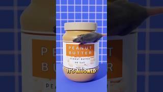  What’s REALLY Inside Your Peanut Butter? 