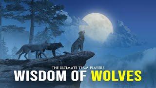 Wisdom Of The Wolves - Best Motivational Video