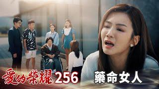 愛的榮耀 EP256 藥命女人｜Glory of Love