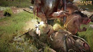 Black Desert - Tamer Skills