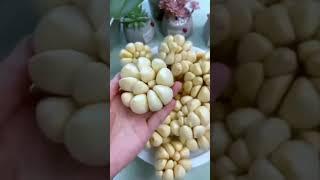 झटपट ग्लास में लहसन का पेड़ उगाए trendingvideo#short#viral#like#video