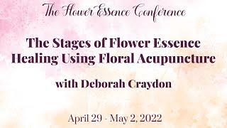 The Stages of Flower Essence Healing Using Floral  Acupuncture with Deborah Craydon (excerpt)