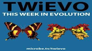 TWiEVO 17: The curious cases of clam cancers