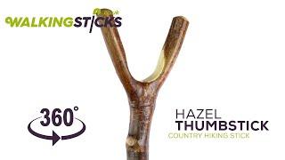 Hazel Thumbstick Country Hiking Stick | WalkingSticks.co.uk