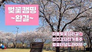 벚꽃캠핑 ~완결~ 이 영상 하나로 끝!! / 하동십리벚꽃길