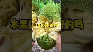 这样软的水果，是最甜的吗？ #涨知识#科普