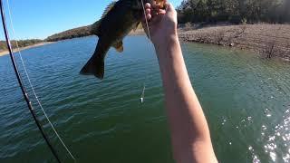 catching BIG Smallmouth and spotted bass on bull shoals lake