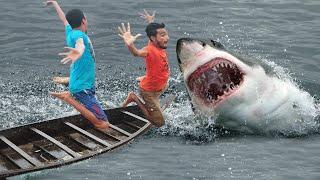 Shark Attack Man In Sea Fishing Boat | Fun Made Shark Movie By Wild Fighter