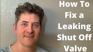 Water Shut Off Valve Leak Repair-For Sink Leaks or Toilet Leaks!